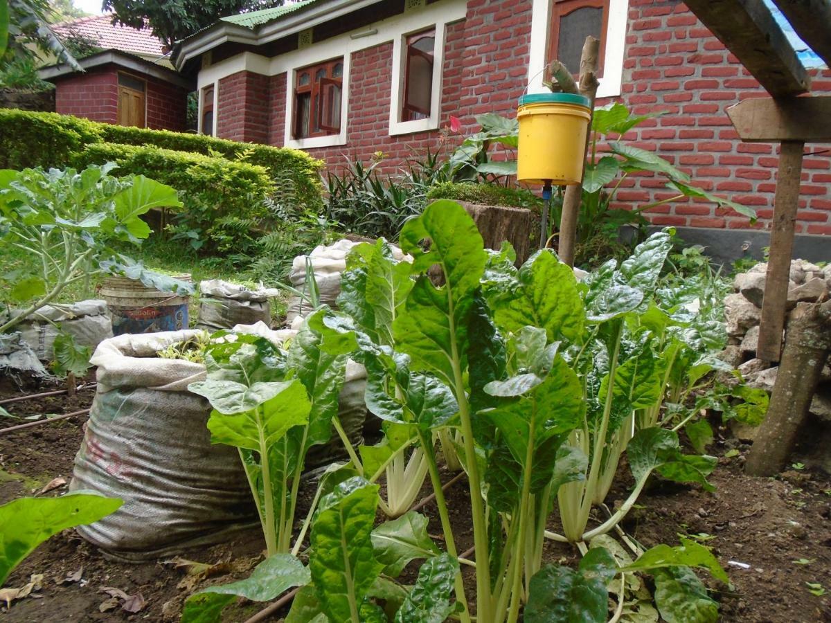 Themi Valley Eco And Cultural Tourism Homestay Аруша Екстер'єр фото