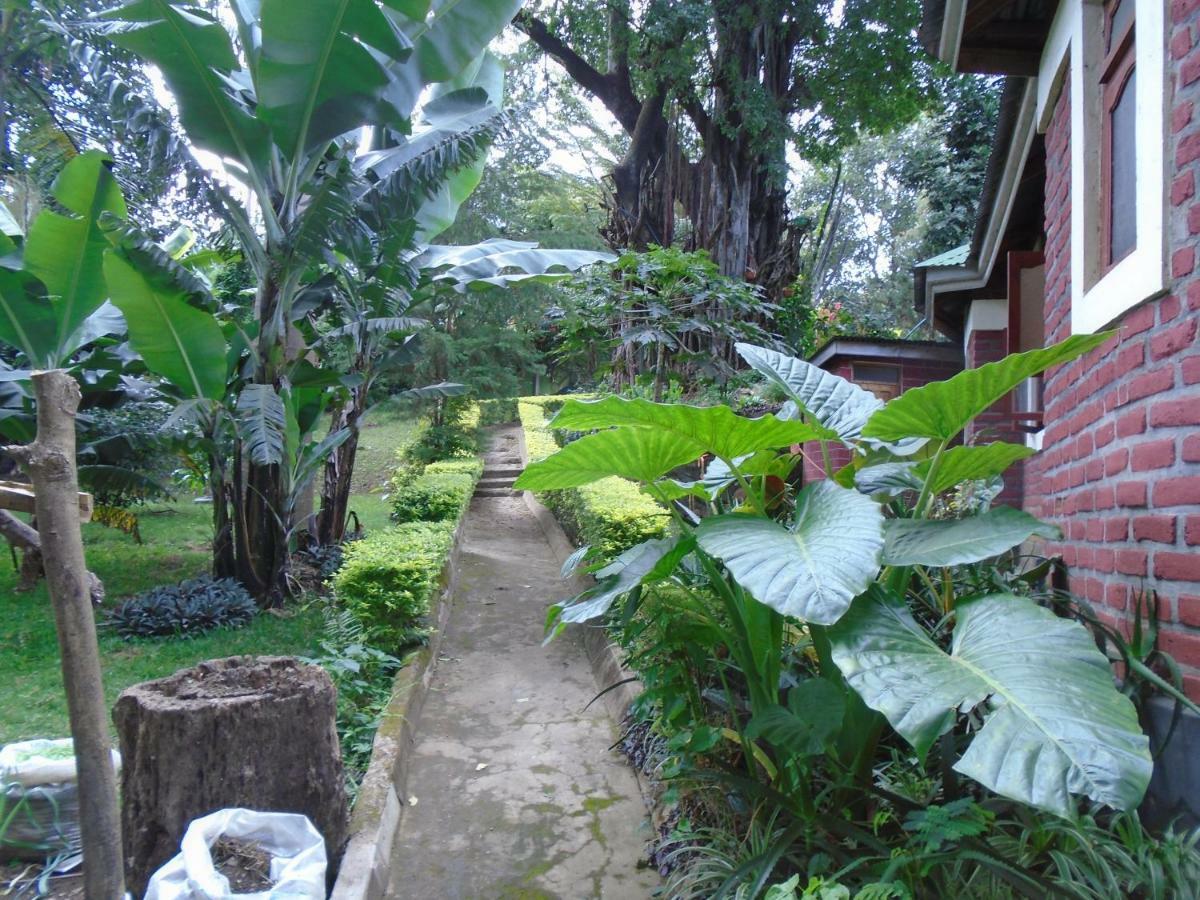 Themi Valley Eco And Cultural Tourism Homestay Аруша Екстер'єр фото